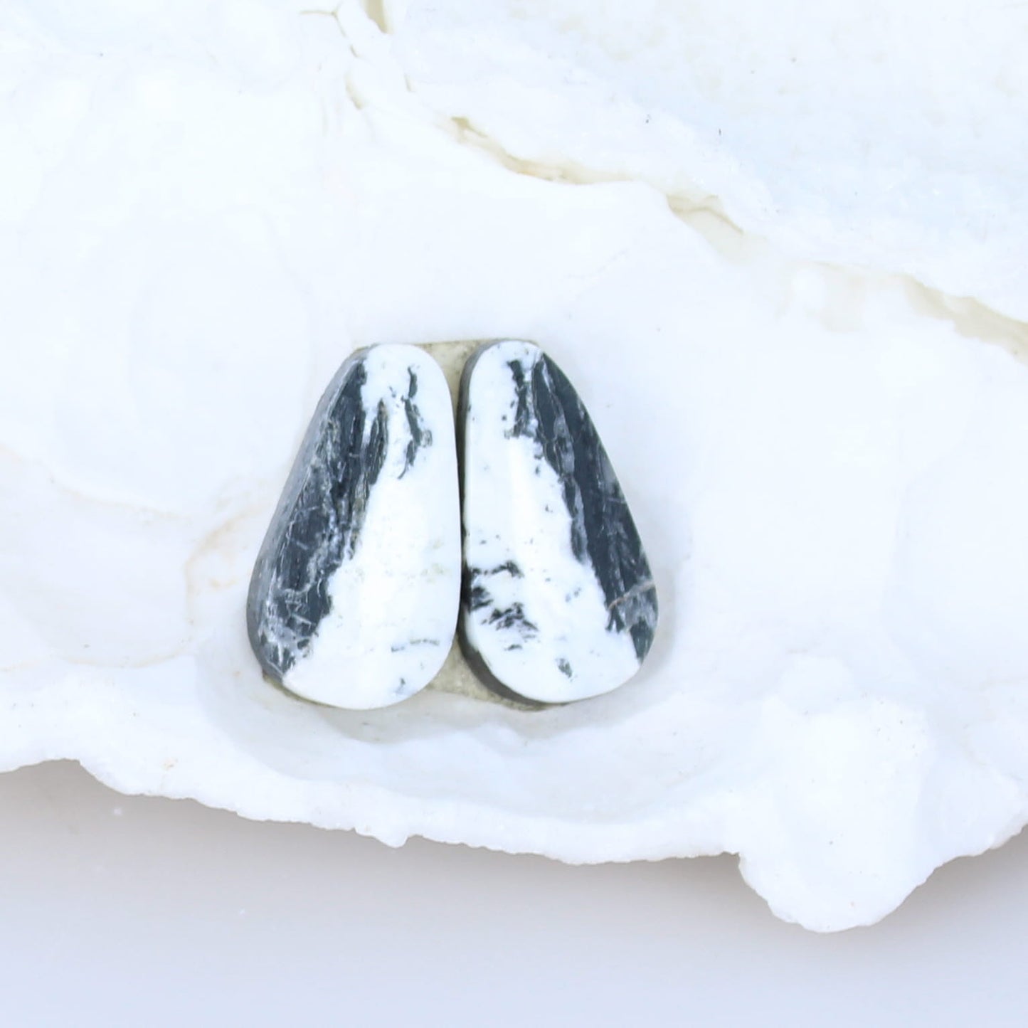Dramatic Rare White Buffalo Turquoise Cabochon Pair Components -NewWorldGems