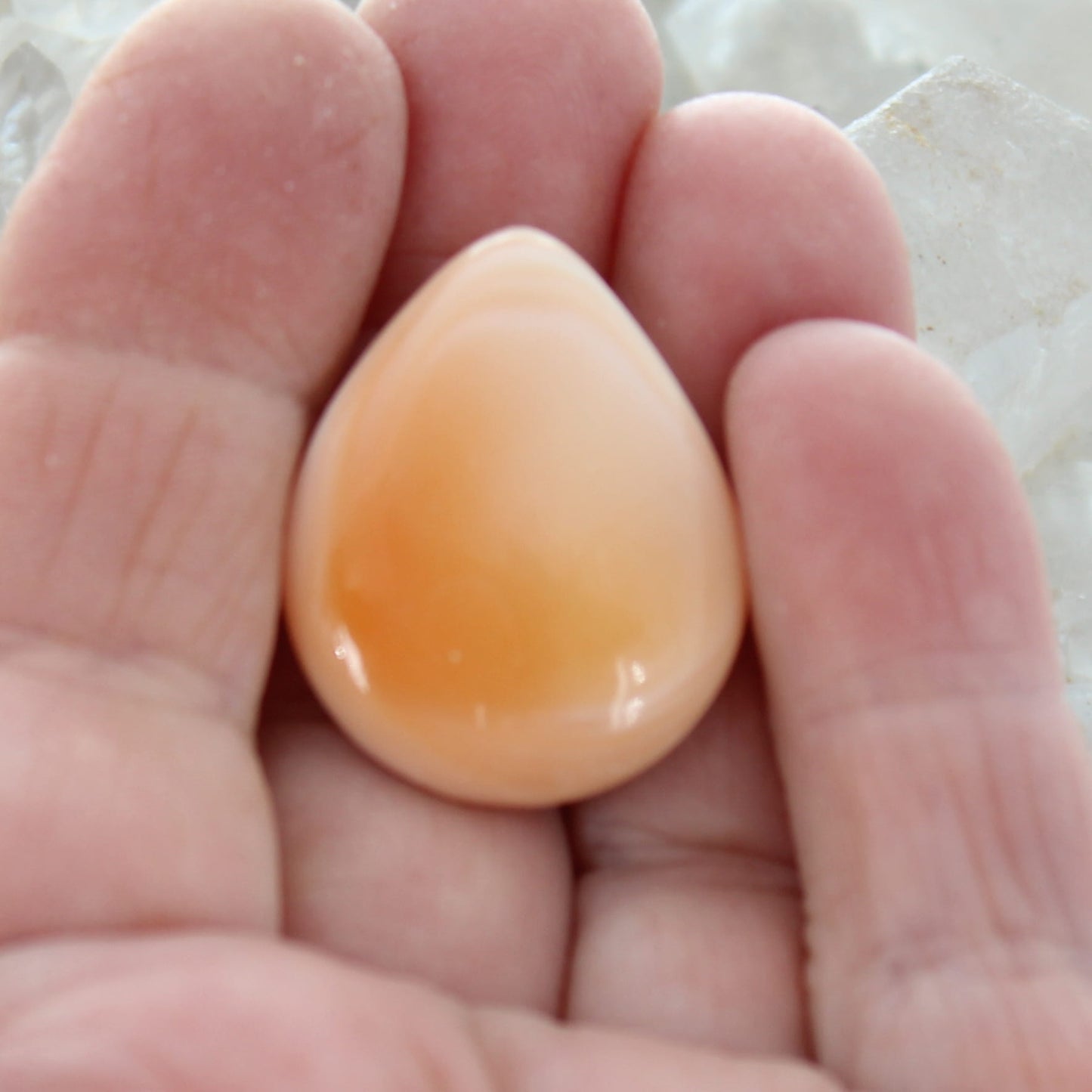 Beautiful Apricot SPINY Oyster Teardrop Cabochon 28x22mm