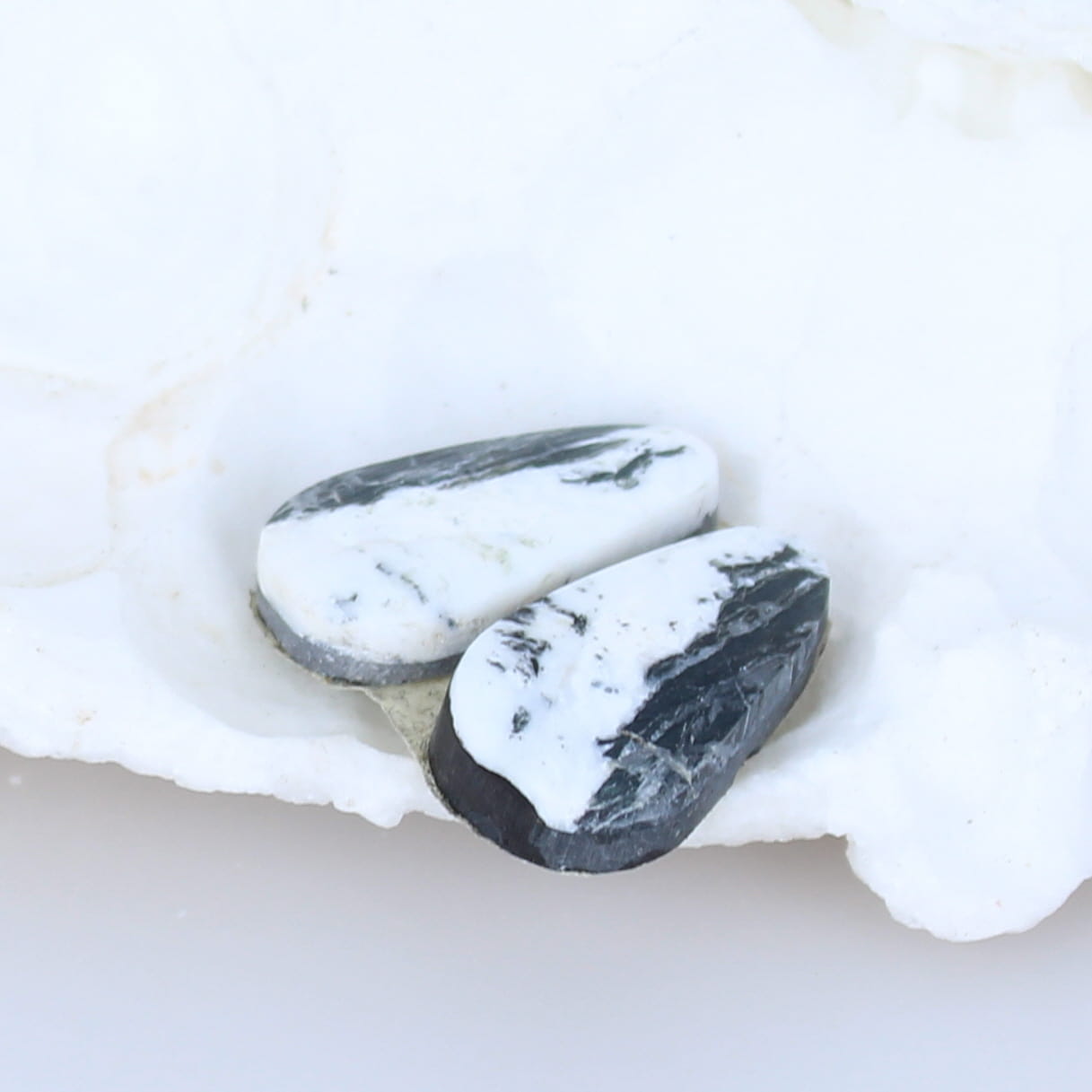 Dramatic Rare White Buffalo Turquoise Cabochon Pair Components -NewWorldGems