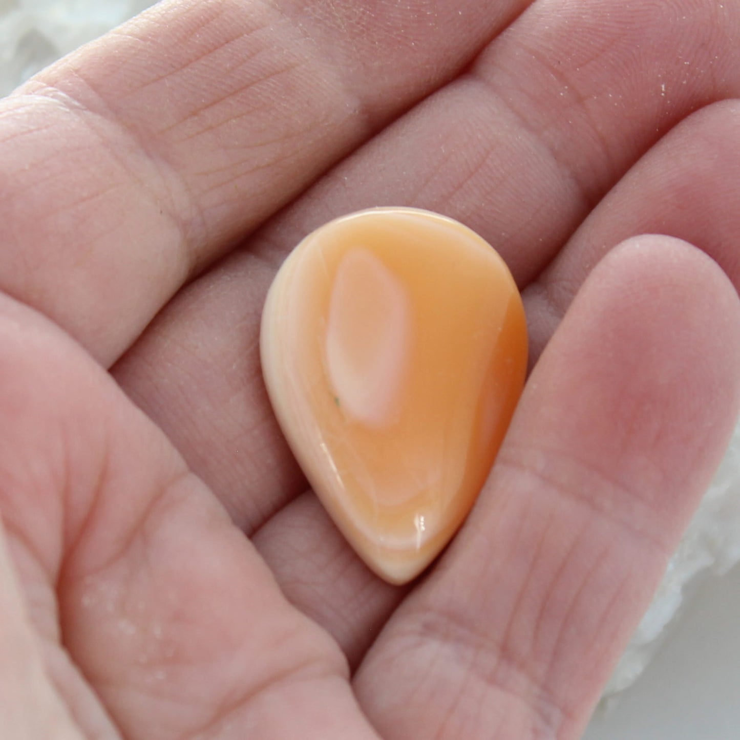 Beautiful Apricot SPINY Oyster Teardrop Cabochon 27x18mm