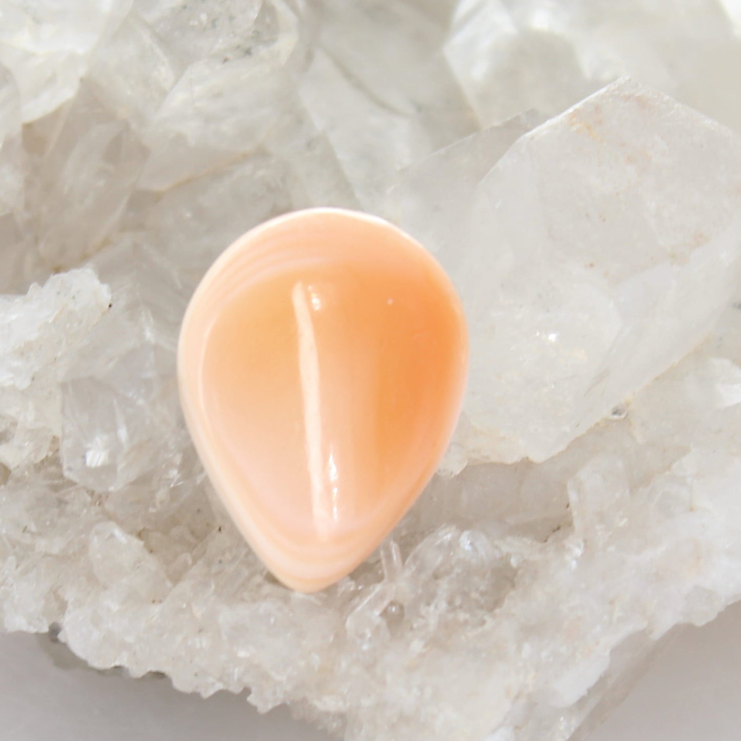 Beautiful Apricot SPINY Oyster Teardrop Cabochon 28x22mm