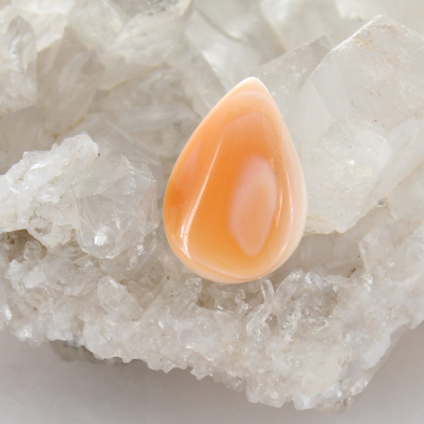 Beautiful Apricot SPINY Oyster Teardrop Cabochon 27x18mm