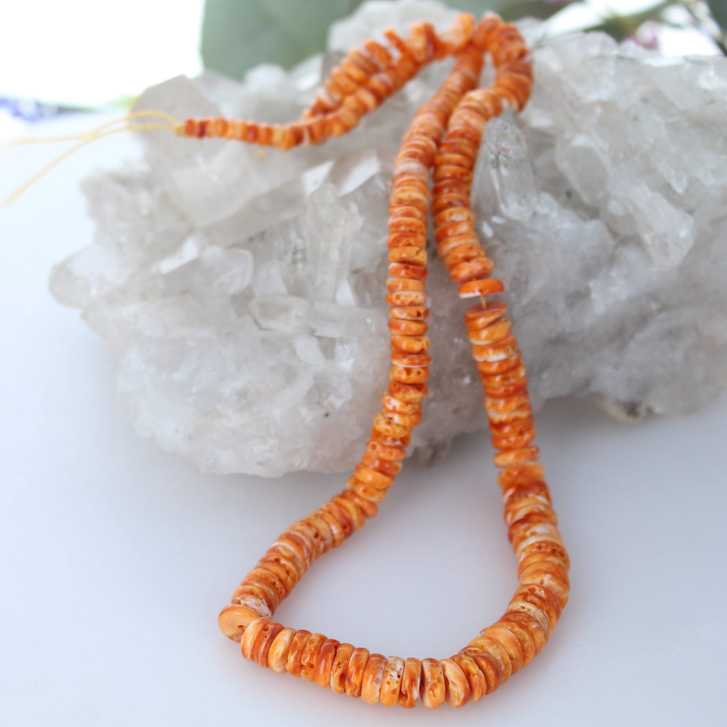 ORANGE SPINY OYSTER Beads Graduated Buttons 5-10mm 17"