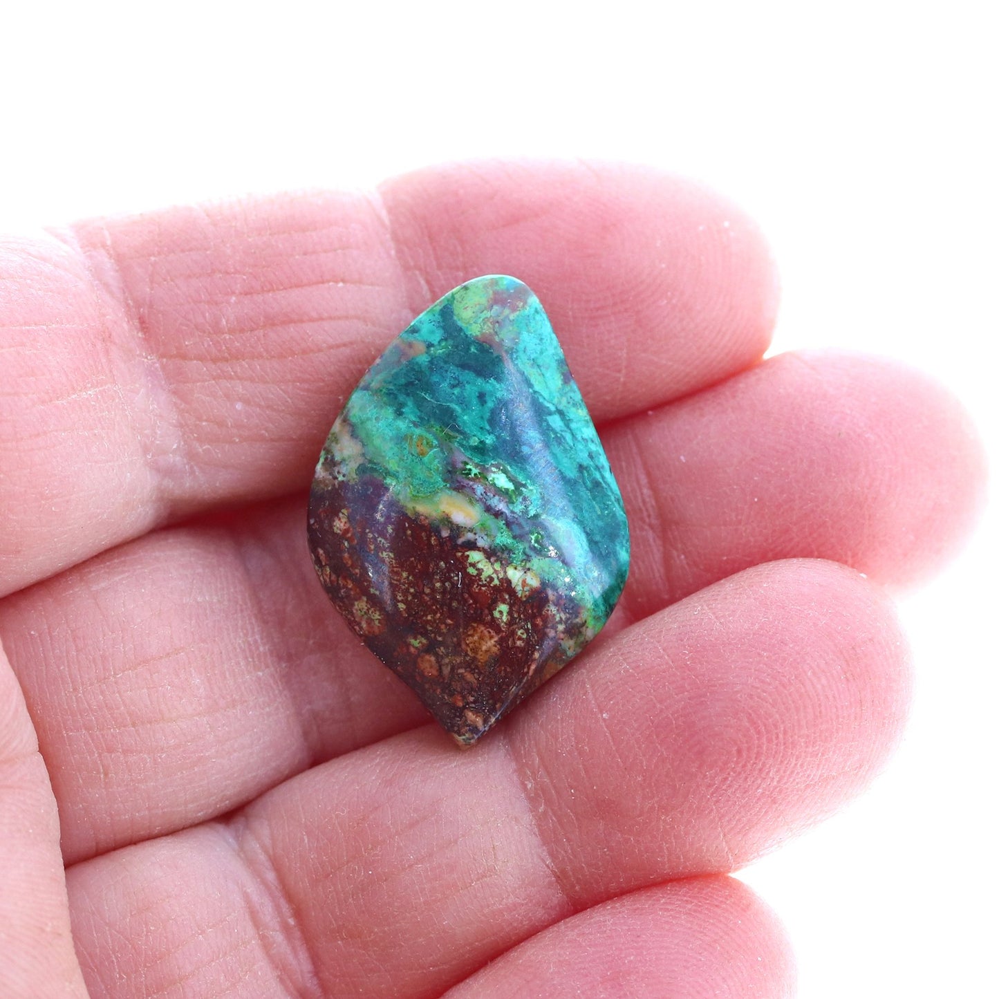 Parrot Wing Chrysocolla Cabochon 26X18mm Mexico -NewWorldGems