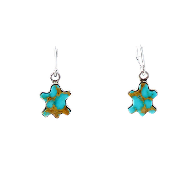 Kingman Turquoise Earrings Robins Egg Blue Turtle Design -NewWorldGems