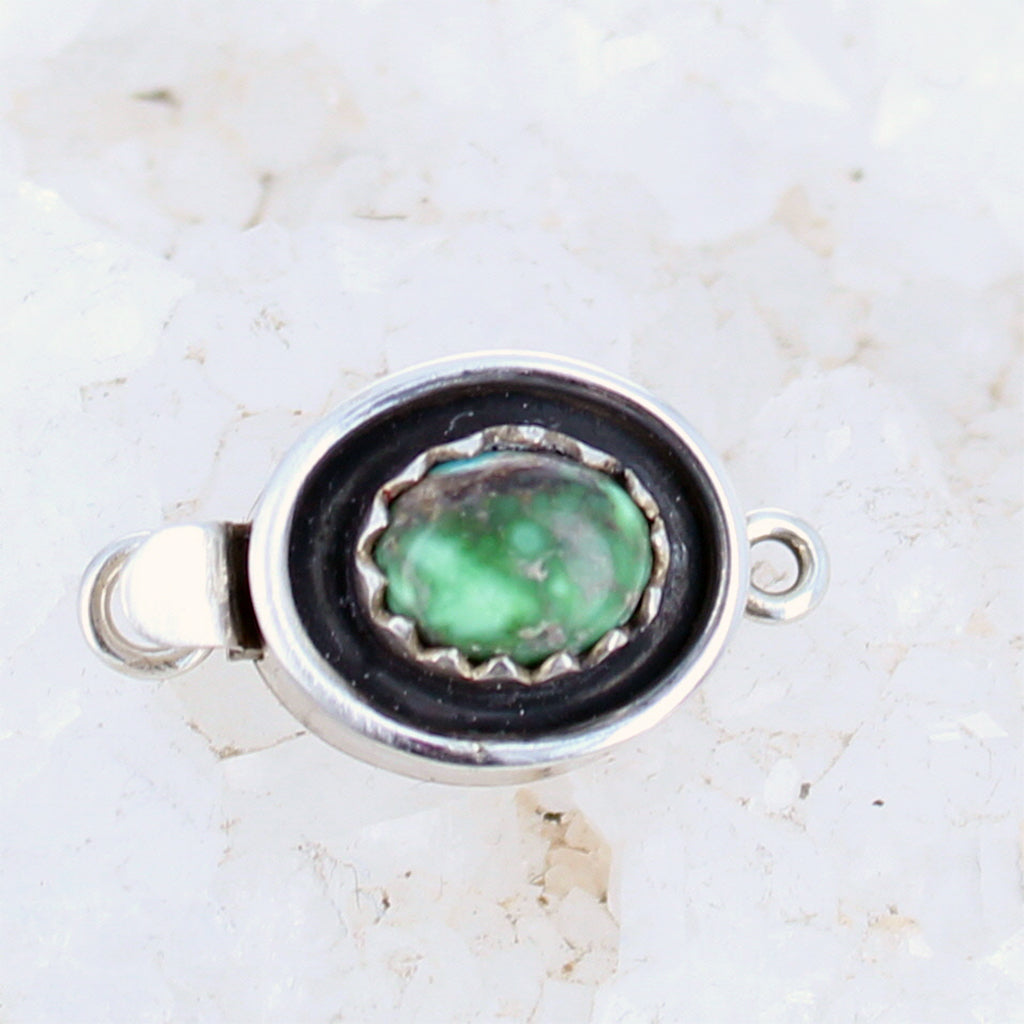 CARICO LAKE TURQUOISE Clasp Faustite Green Oval 8.7x10.5mm -NewWorldGems