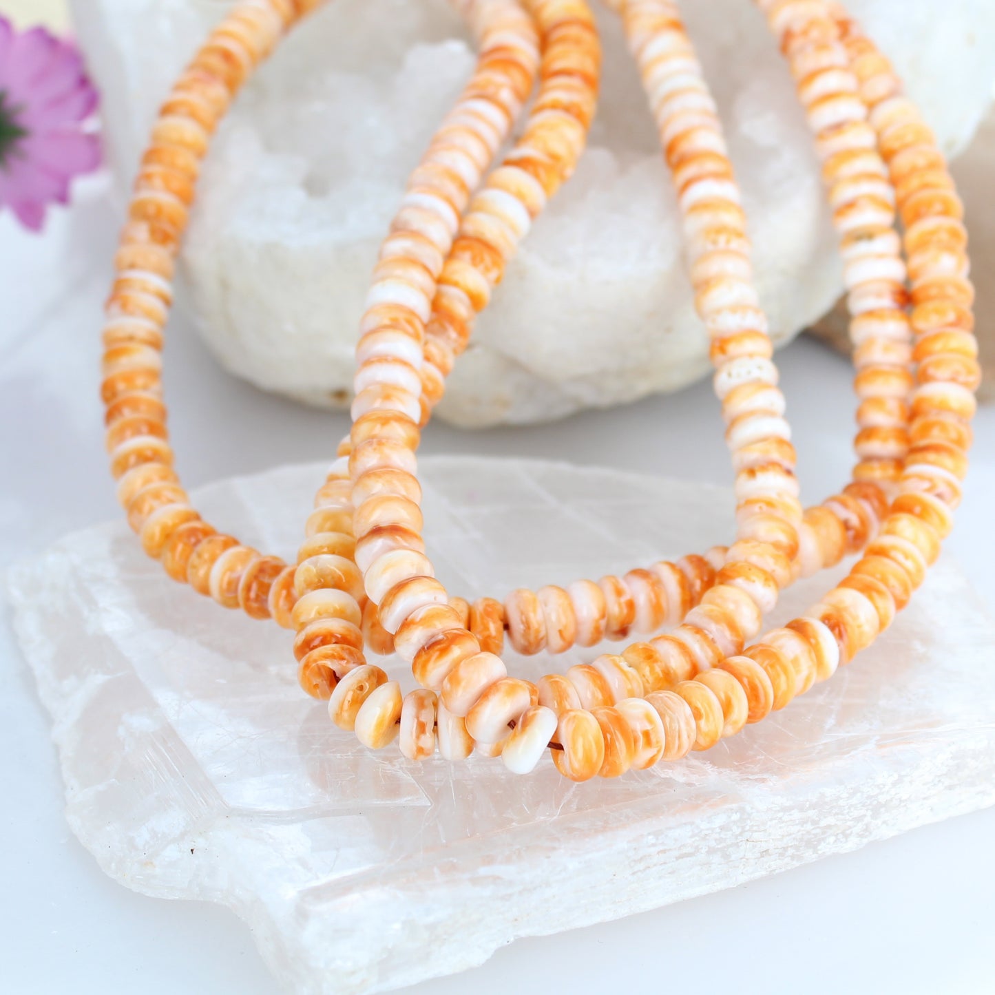 ORANGE SPINY OYSTER Beads Rondelles 8mm 16" -NewWorldGems