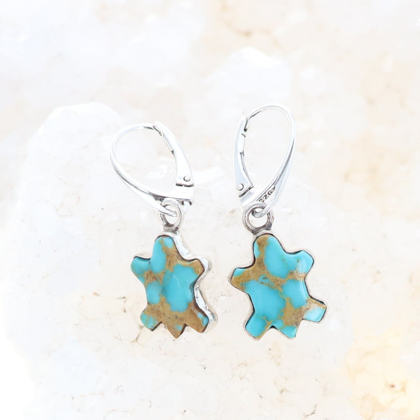 Kingman Turquoise Earrings Robins Egg Blue Turtle Design -NewWorldGems