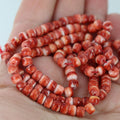 AAA Red SPINY OYSTER Beads 5mm Pueblo Shaped 22"