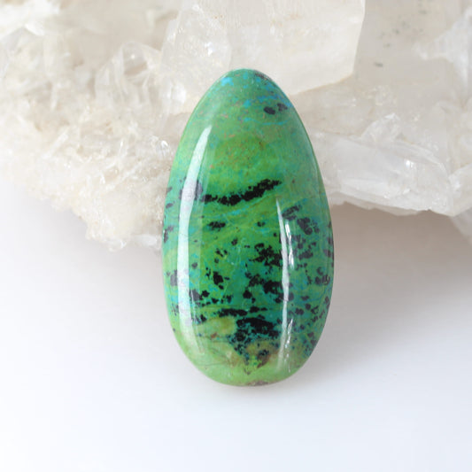 Stunning Large Parrot Wing Chrysocolla Cabochon Mexico