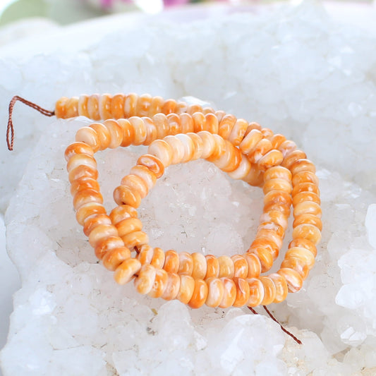 Apricot Orange Spiny Oyster Beads Buttons 6mm 12" -NewWorldGems