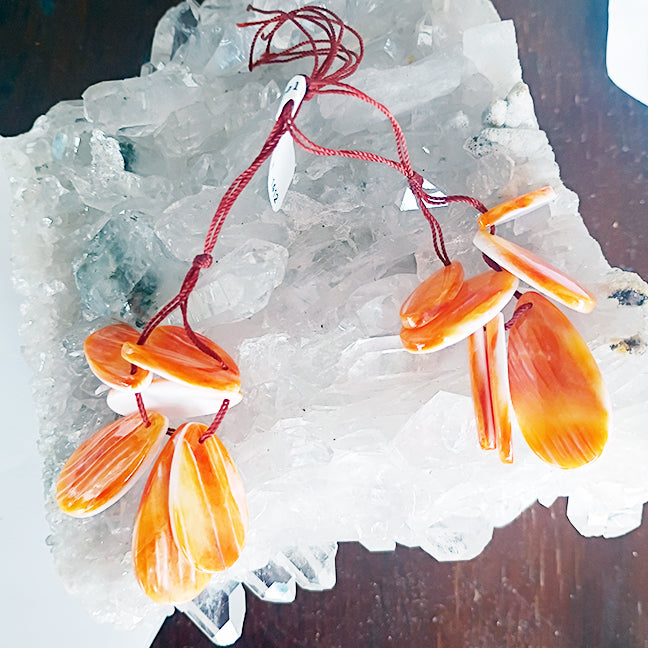 Orange Spiny Oyster Teardrops Components Set of 7 for Earrings or Pendant