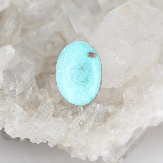 Dry Creek Turquoise Cabochon Oval 20x14mm New World Gems