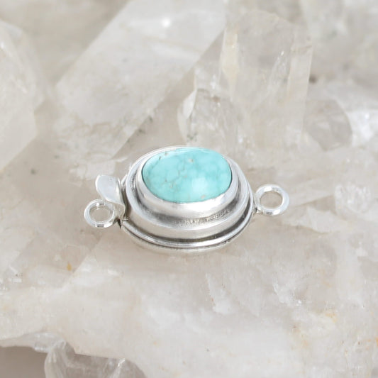 AAA Blue Carico Lake Turquoise Sterling Clasp Classic 10x14mm
