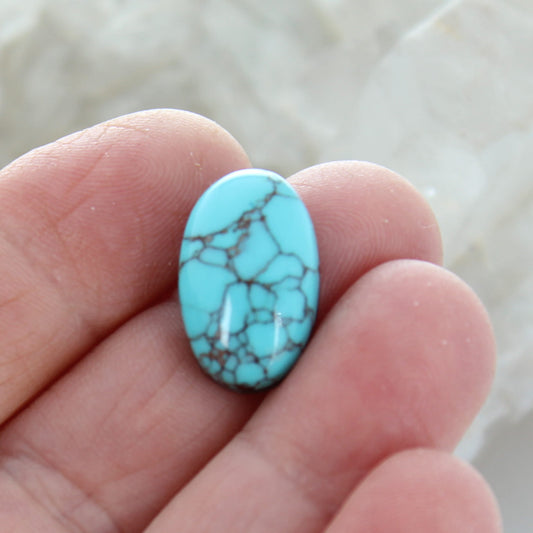 EGYPTIAN TURQUOISE Oval Cabochon Beauty