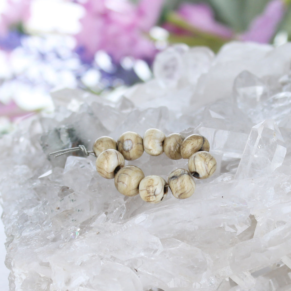 Vintage Tibetan Naga Shell 10 pcs