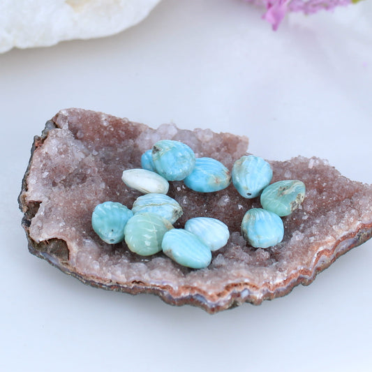 Larimar and Peruvian Opal Carved Shell Components 12 piece -NewWorldGems