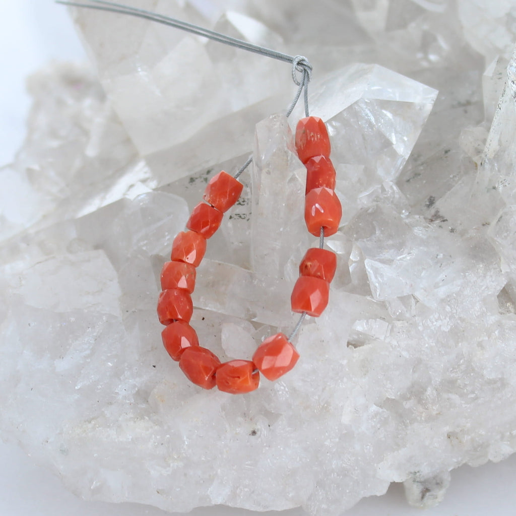 AAA Light Red Italian Coral Beads Pueblo Shaped 4mm 12 Beads