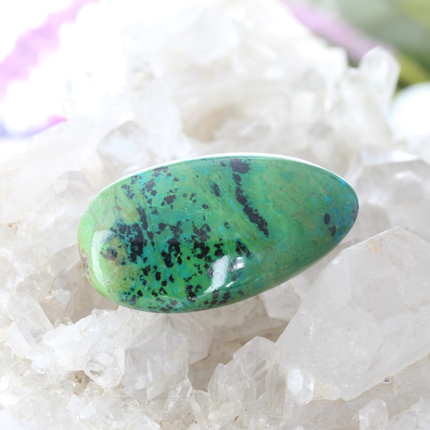 Stunning Large Parrot Wing Chrysocolla Cabochon Mexico