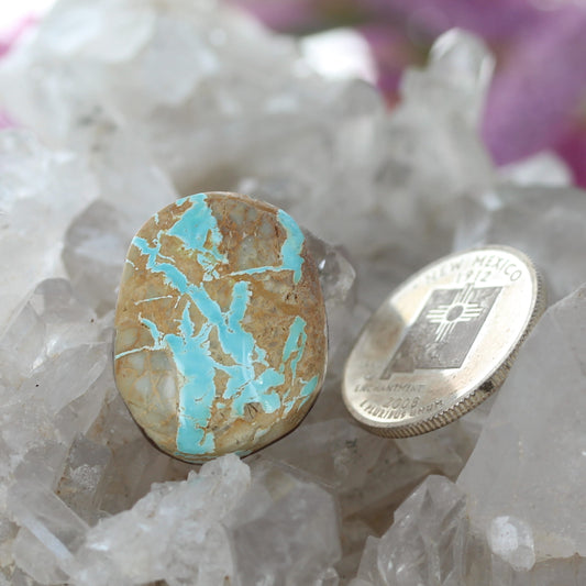 Large Blue Gold Royston Turquoise Cabochon Free Form 27.5x21.5mm