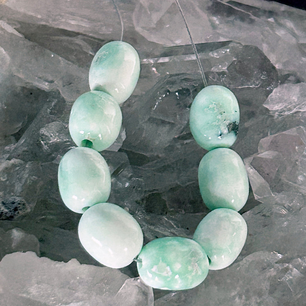 AAA Celadon Green PALOMA VARISCITE Beads 8.5x12mm Barrel Shaped 8 Pcs