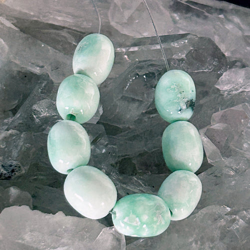 AAA Celadon Green PALOMA VARISCITE Beads 8.5x12mm Barrel Shaped 8 Pcs