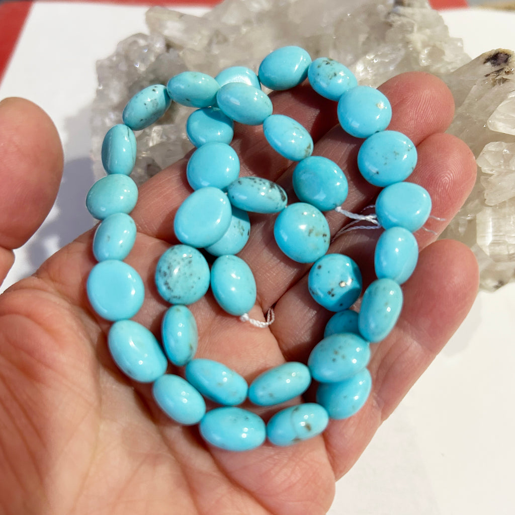 Exquisite Sky Blue Nacozari Turquoise Beads 10-11mm Coin Shaped 16"