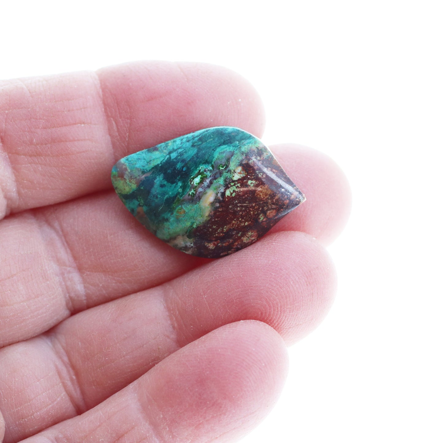 Parrot Wing Chrysocolla Cabochon 26X18mm Mexico -NewWorldGems
