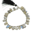 Labradorite Beads Faceted Free Form Briolettes Large -NewWorldGems