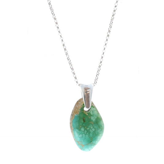 Turquoise Mountain Turquoise Pendant Sterling #3 -NewWorldGems