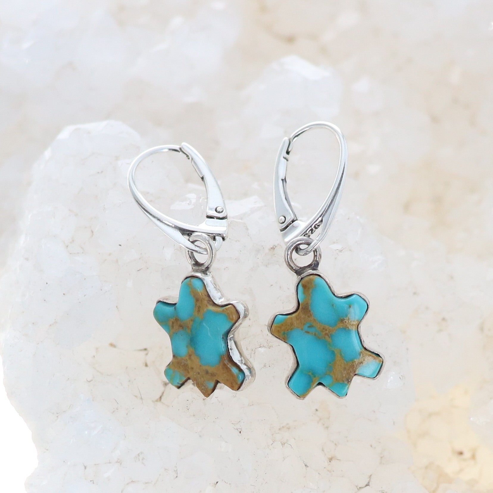 Kingman Turquoise Earrings Robins Egg Blue Turtle Design -NewWorldGems
